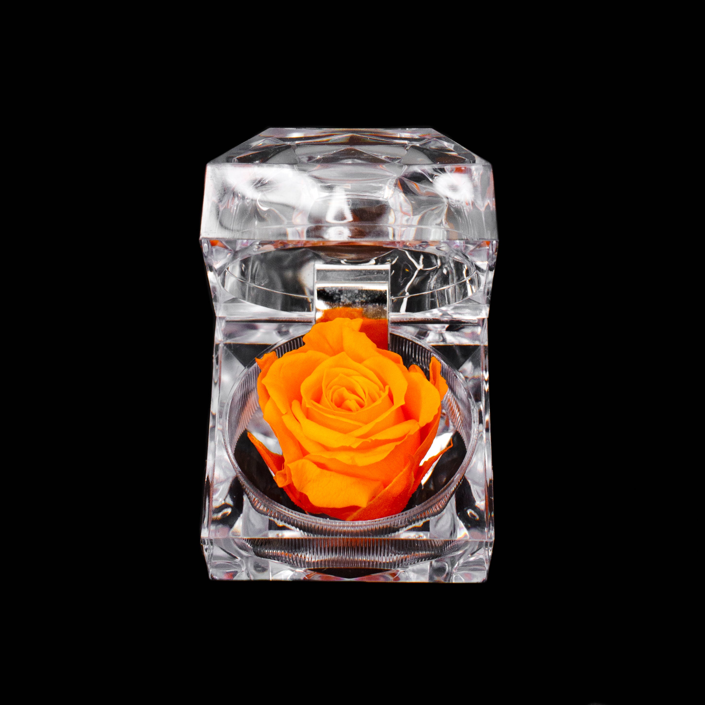 Rose Jewel Box