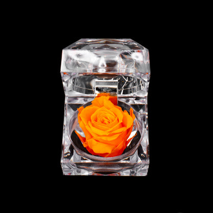 Rose Jewel Box