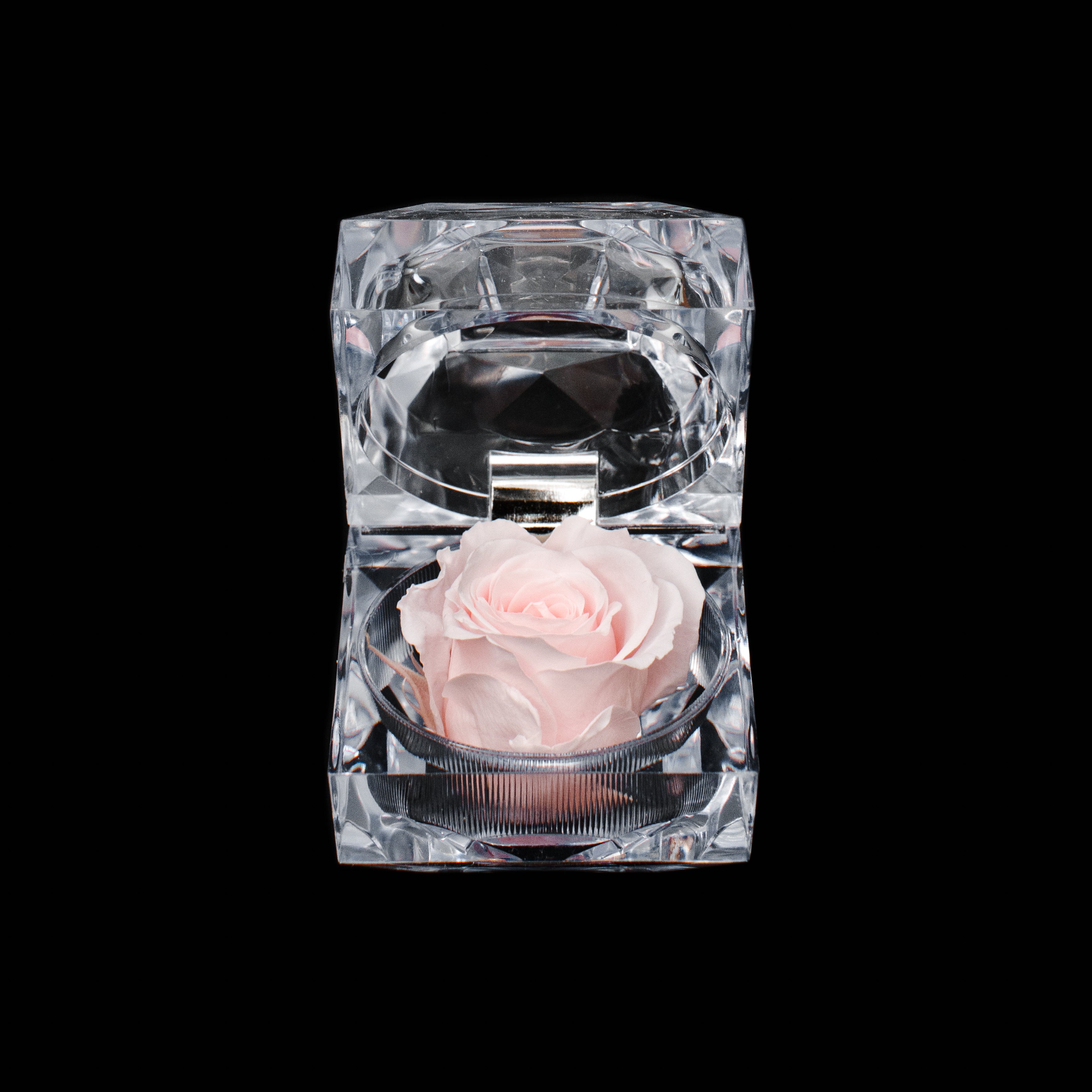Rose Jewel Box