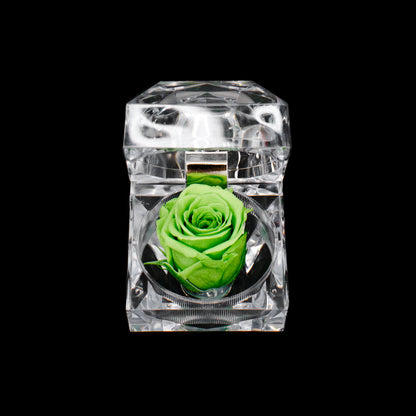 Rose Jewel Box