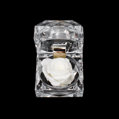 Rose Jewel Box